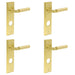 PACK Satin Brass Bathroom Door Handle with Stylish Backplate Solid Brass Interior Lever