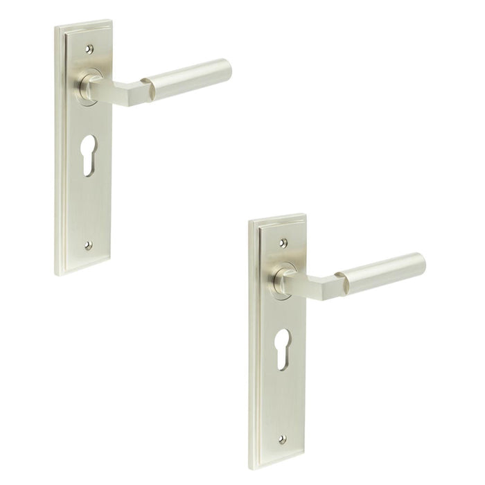 PACK Stylish Satin Nickel Euro Backplate Door Handle Modern Homes Solid Brass Interior Lever (1)