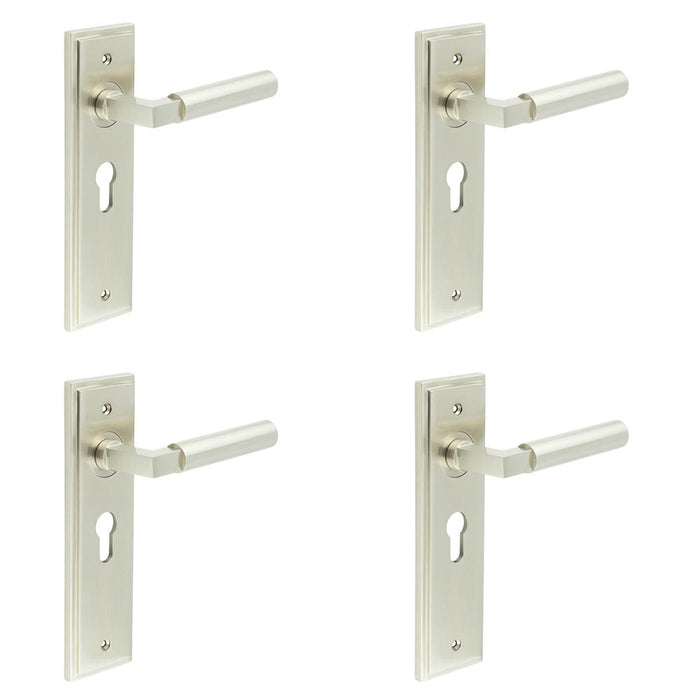 PACK Stylish Satin Nickel Euro Backplate Door Handle Modern Homes Solid Brass Interior Lever