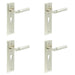 PACK Stylish Satin Nickel Euro Backplate Door Handle Modern Homes Solid Brass Interior Lever