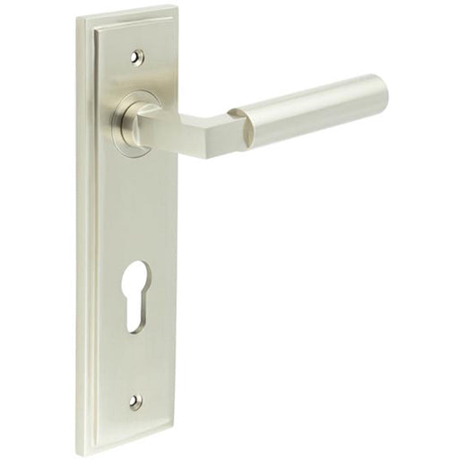 Satin Nickel Euro Backplate Door Handle Stylish Solid Brass Lever Solid Brass Interior Lever