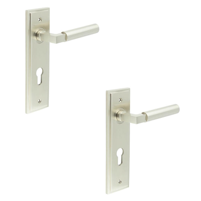 PACK Satin Nickel Euro Backplate Door Handle Stylish Solid Brass Lever Solid Brass Interior Lever (1)