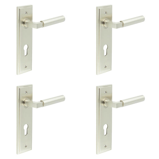 PACK Satin Nickel Euro Backplate Door Handle Stylish Solid Brass Lever Solid Brass Interior Lever