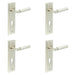 PACK Satin Nickel Euro Backplate Door Handle Stylish Solid Brass Lever Solid Brass Interior Lever