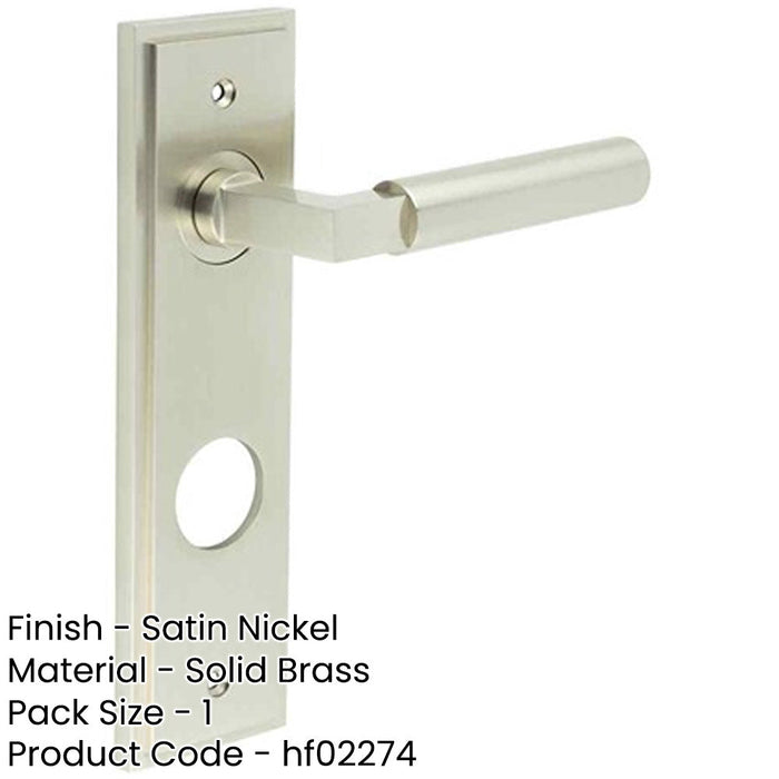 Satin Nickel Door Handle with Backplate Modern Bathrooms Solid Brass Interior Lever-1