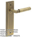 Elegant Antique Brass Door Handle Latch Backplate Modern Homes Solid Brass Interior Lever-1