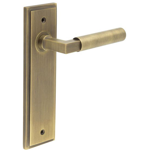 Elegant Antique Brass Door Handle Latch Backplate Modern Homes Solid Brass Interior Lever