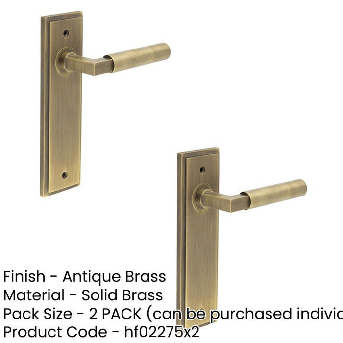 PACK Elegant Antique Brass Door Handle Latch Backplate Modern Homes Solid Brass Interior Lever (1)-1