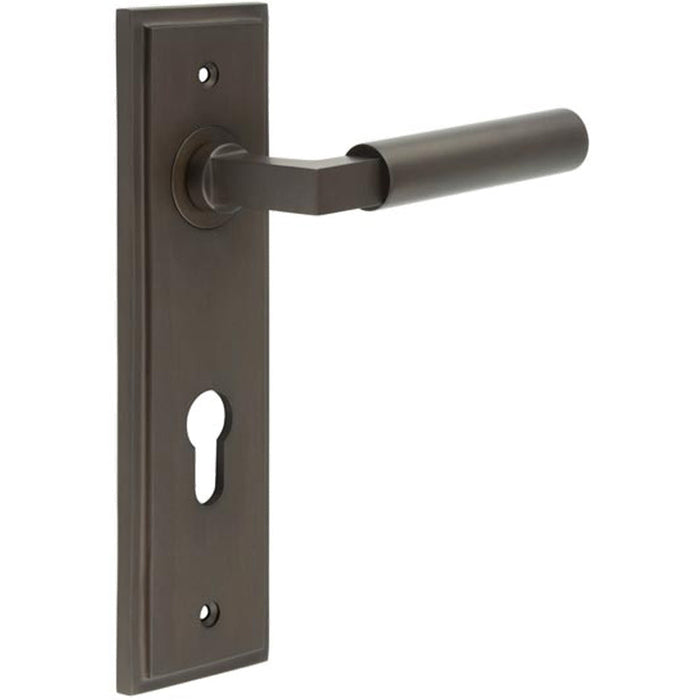 Elegant Dark Bronze Door Handle with Euro Backplate Solid Brass Interior Lever