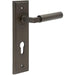 Elegant Dark Bronze Door Handle with Euro Backplate Solid Brass Interior Lever