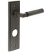 Elegant Dark Bronze Door Handle with Backplate Bathrooms Solid Brass Interior Lever