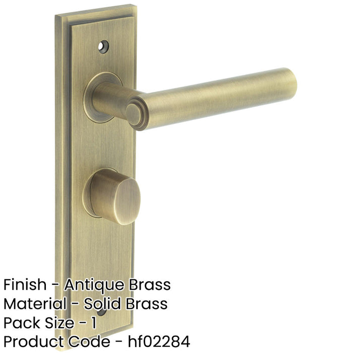 Antique Brass Bathroom Door Handle with Backplate Turn Release Mechanism Solid Brass Interior Lever-1