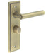 Antique Brass Bathroom Door Handle with Backplate Turn Release Mechanism Solid Brass Interior Lever