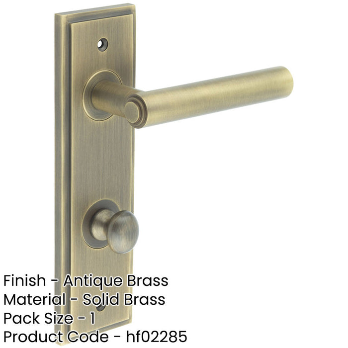 Antique Brass Door Handle with Backplate Bathrooms Elegant Turn Release Design Solid Brass Interior Lever-1