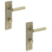 PACK Antique Brass Bathroom Door Handle with Backplate Turn Release Solid Brass Interior Lever (1)