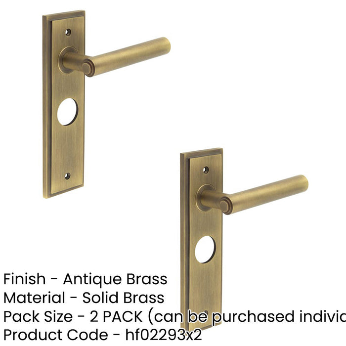 PACK Antique Brass Door Handle with Backplate Bathrooms Homes Solid Brass Interior Lever (1)-1