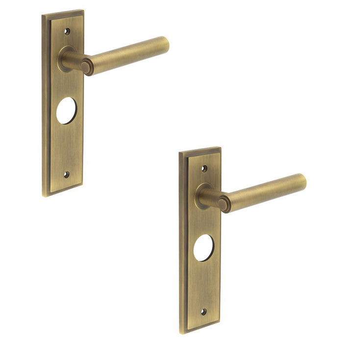 PACK Antique Brass Door Handle with Backplate Bathrooms Homes Solid Brass Interior Lever (1)