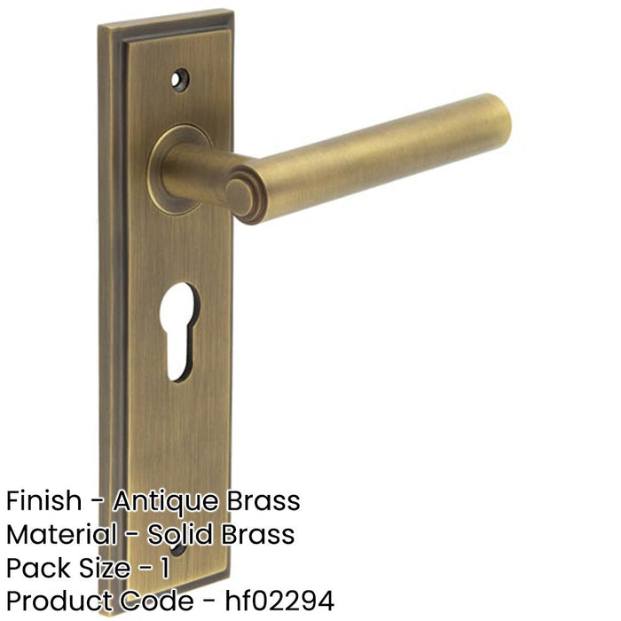 Elegant Antique Brass Door Handle with Euro Backplate Solid Brass Interior Lever (1)-1