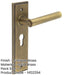 Elegant Antique Brass Door Handle with Euro Backplate Solid Brass Interior Lever (1)-1