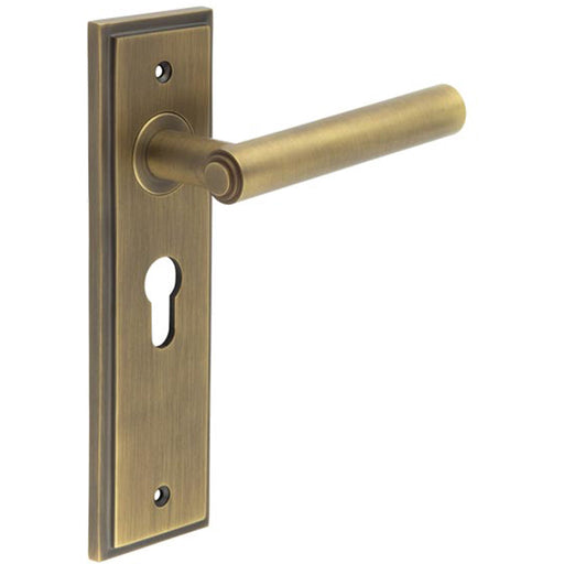 Elegant Antique Brass Door Handle with Euro Backplate Solid Brass Interior Lever (1)