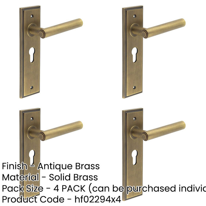 PACK Elegant Antique Brass Door Handle with Euro Backplate Solid Brass Interior Lever (1)-1