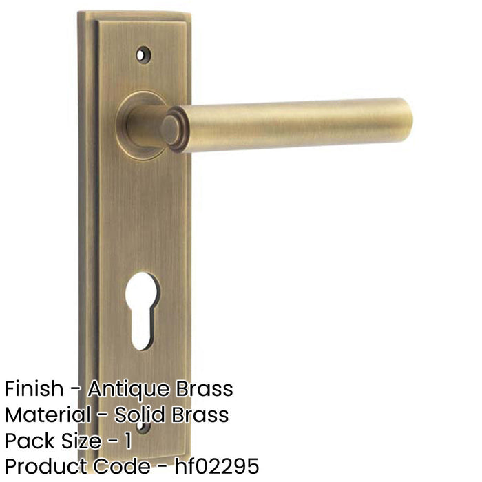 Elegant Antique Brass Door Handle with Euro Backplate Solid Brass Interior Lever (2)-1