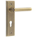 Elegant Antique Brass Door Handle with Euro Backplate Solid Brass Interior Lever (2)