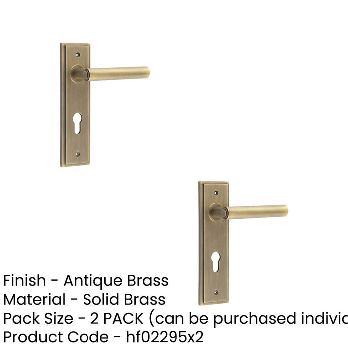 PACK Elegant Antique Brass Door Handle with Euro Backplate Solid Brass Interior Lever (5)-1