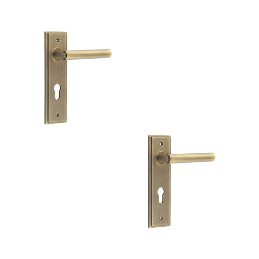 PACK Elegant Antique Brass Door Handle with Euro Backplate Solid Brass Interior Lever (5)