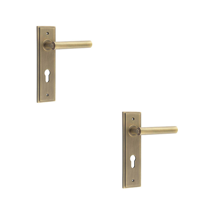 PACK Elegant Antique Brass Door Handle with Euro Backplate Solid Brass Interior Lever (5)