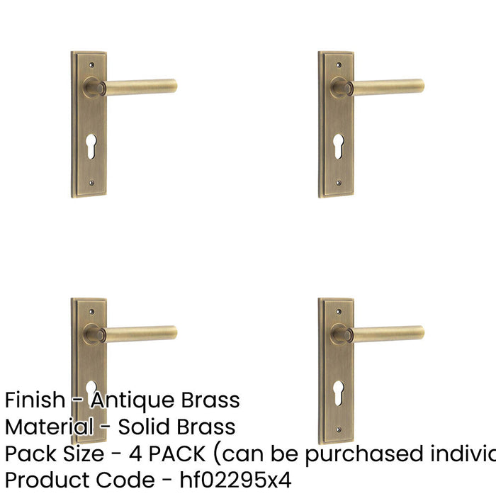 PACK Elegant Antique Brass Door Handle with Euro Backplate Solid Brass Interior Lever (2)-1