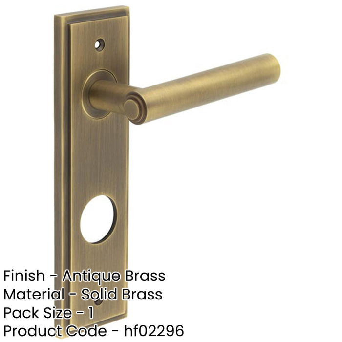 Antique Brass Door Handle with Backplate Bathrooms Solid Brass Interior Lever-1