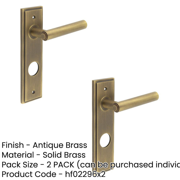 PACK Antique Brass Door Handle with Backplate Bathrooms Solid Brass Interior Lever (1)-1