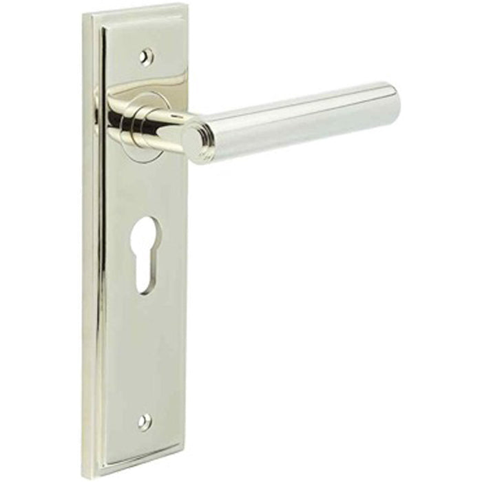 Elegant Polished Nickel Door Handle with Euro Backplate Homes Solid Brass Interior Lever