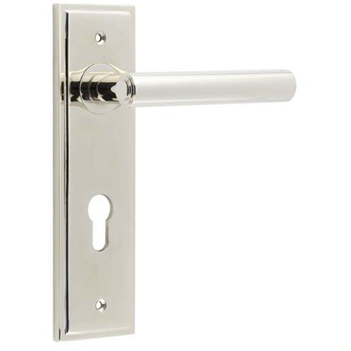 Polished Nickel Euro Backplate Door Handle Elegant Solid Brass Lever Solid Brass Interior Lever