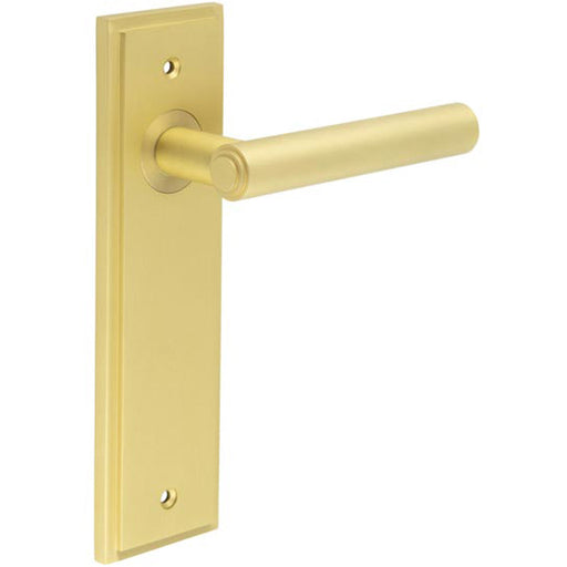 Elegant Satin Brass Door Handle Latch Backplate Home Solid Brass Interior Lever