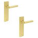 PACK Elegant Satin Brass Door Handle Latch Backplate Home Solid Brass Interior Lever (1)