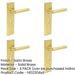 PACK Premium Satin Brass Door Handle Lock Backplate Solid Brass Interior Lever-1