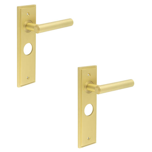 PACK Elegant Satin Brass Bathroom Door Handle with Backplate Solid Brass Interior Lever (1)