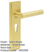 Luxurious Satin Brass Euro Door Handle with Backplate Solid Brass Interior Lever-1