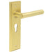 Luxurious Satin Brass Euro Door Handle with Backplate Solid Brass Interior Lever