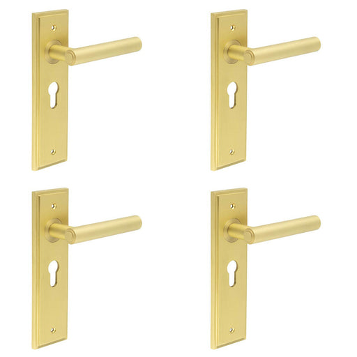 PACK Luxurious Satin Brass Euro Door Handle with Backplate Solid Brass Interior Lever