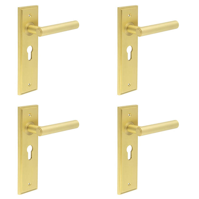 PACK Luxurious Satin Brass Euro Door Handle with Backplate Solid Brass Interior Lever