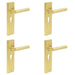 PACK Luxurious Satin Brass Euro Door Handle with Backplate Solid Brass Interior Lever