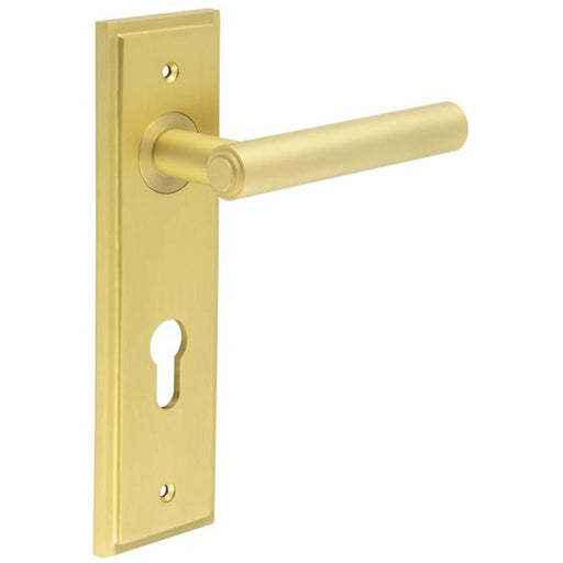 Elegant Satin Brass Door Handle with Euro Backplate Luxurious Style Solid Brass Interior Lever