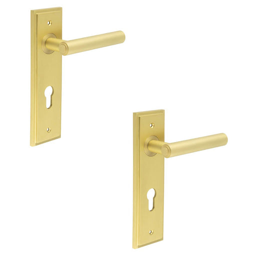 PACK Elegant Satin Brass Door Handle with Euro Backplate Luxurious Style Solid Brass Interior Lever (1)