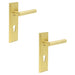 PACK Elegant Satin Brass Door Handle with Euro Backplate Luxurious Style Solid Brass Interior Lever (1)