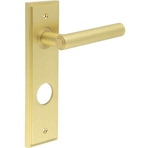 Elegant Satin Brass Bathroom Door Handle with Versatile Backplate Options Solid Brass Interior Lever