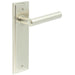 Satin Nickel Door Handle Latch Backplate Elegant Brass Design Solid Brass Interior Lever