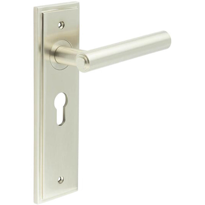 Satin Nickel Euro Backplate Door Handle Elegant Solid Brass Design Solid Brass Interior Lever